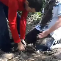 two guys get muddy part 1